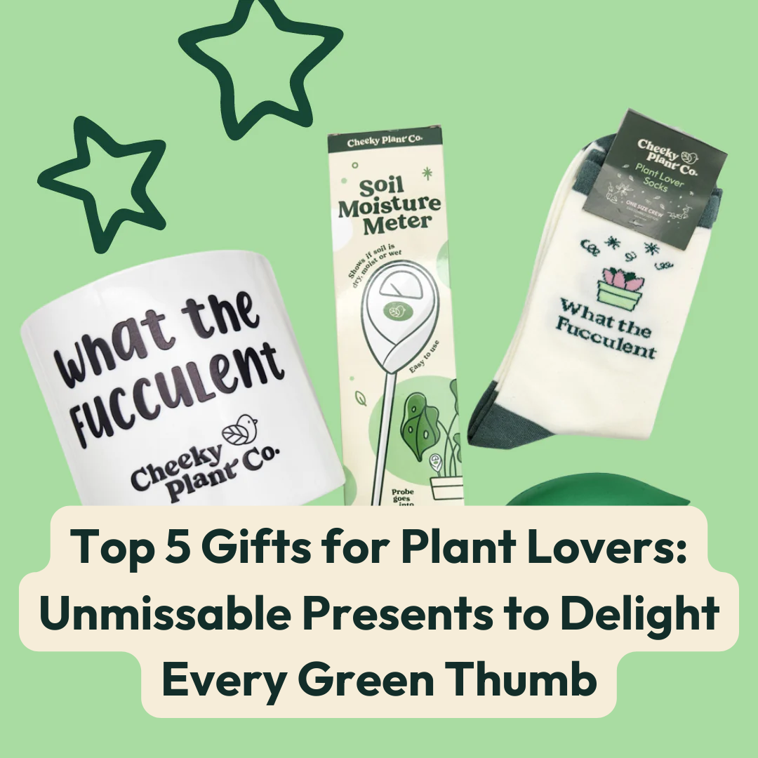 Top 5 Gifts for Plant Lovers: Unmissable Presents to Delight Every Gre ...