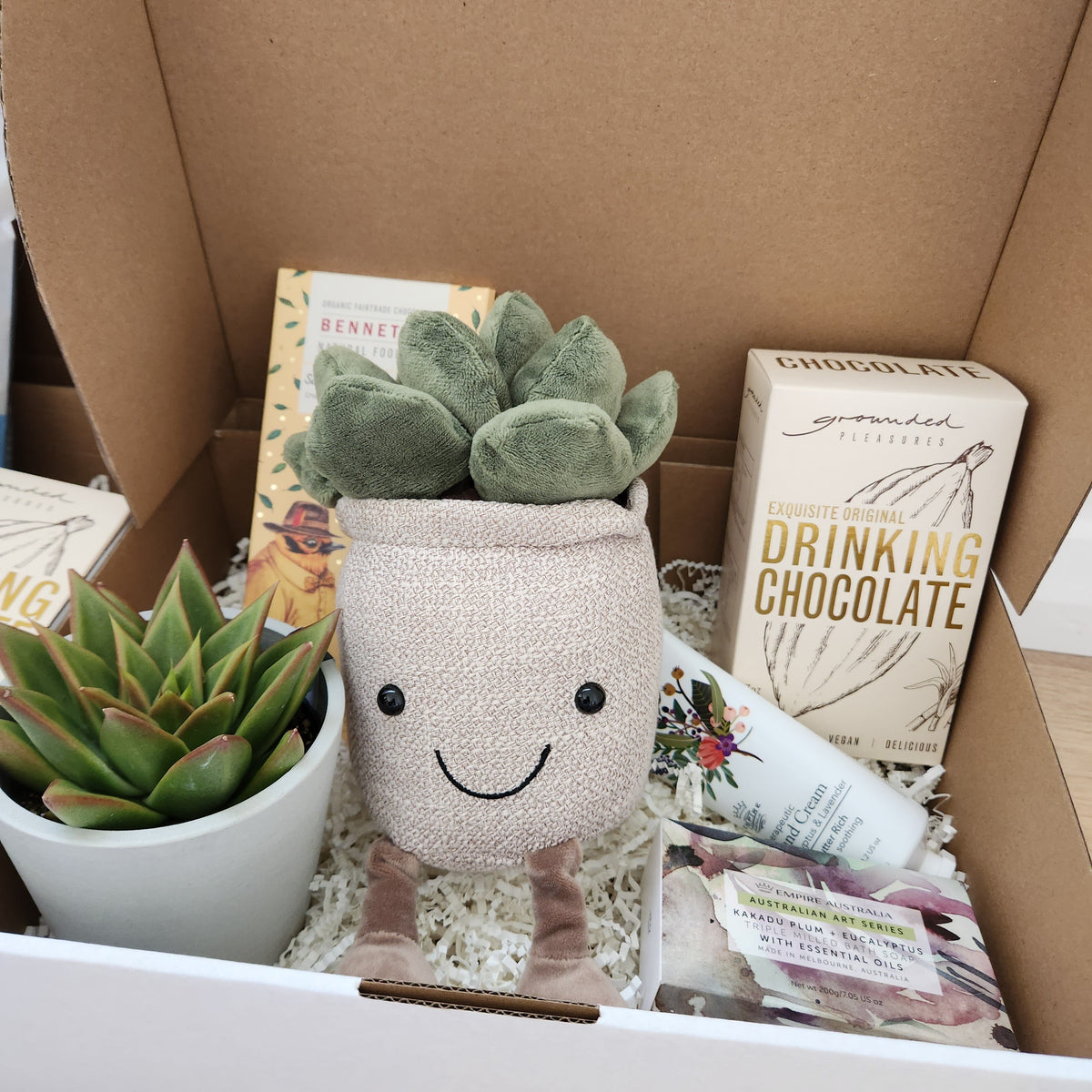 Succulent Gift Boxes Delivered Across Australia Cheeky Plant Co.