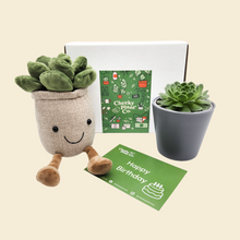 Load image into Gallery viewer, Plant Plushie &amp; Succulent Gift Box
