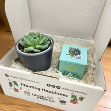 Load image into Gallery viewer, Tea & Succulent Gift Box