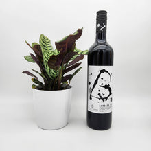 Load image into Gallery viewer, Housewarming Gift - Wine with Assorted Houseplant - Sydney Only