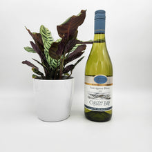 Load image into Gallery viewer, Housewarming Gift - Wine with Assorted Houseplant - Sydney Only