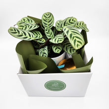 Load image into Gallery viewer, Client Welcome Gift Hamper - Sydney Only