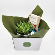 Load image into Gallery viewer, Condolence Gift Hamper - Better than Bouquets - Sydney Only