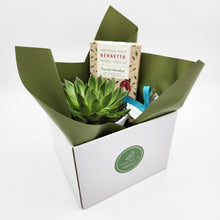 Load image into Gallery viewer, Condolence Gift Hamper - Better than Bouquets - Sydney Only