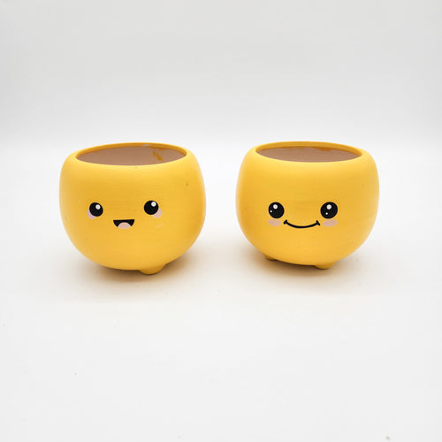 Kawaii Yellow Mini Succulent Pots - Duo