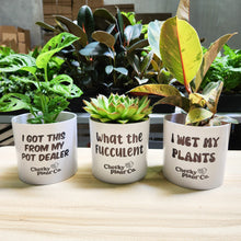 Load image into Gallery viewer, Trio Pack - Funny - Cheeky Plant Co. Pots - 12.5cmD x 12cmH