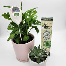 Load image into Gallery viewer, The Support System - Plant Care Bundle