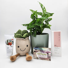 Load image into Gallery viewer, Happy Birthday Plant Hamper - Sydney Only
