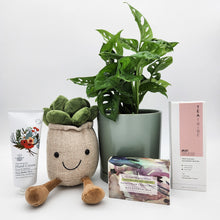 Load image into Gallery viewer, Happy Birthday Plant Hamper - Sydney Only
