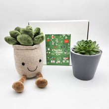 Load image into Gallery viewer, Plant Plushie &amp; Succulent Gift Box
