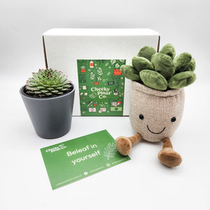 Cheeky Plant Plushie & Succulent Gift Box
