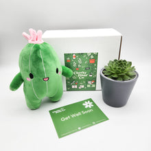 Load image into Gallery viewer, Cactus Plushie &amp; Succulent Gift Box
