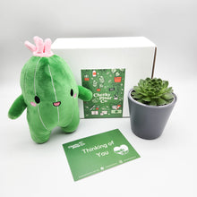 Load image into Gallery viewer, Cactus Plushie &amp; Succulent Gift Box
