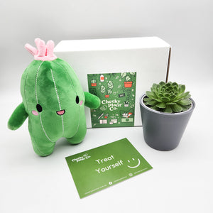 Cactus Plushie & Succulent Gift Box