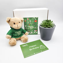 Load image into Gallery viewer, Teddy Bear & Succulent Gift Box