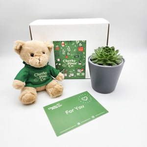 Teddy Bear & Succulent Gift Box