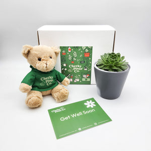 Teddy Bear & Succulent Gift Box