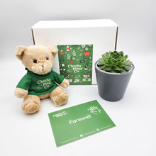 Load image into Gallery viewer, Teddy Bear & Succulent Gift Box