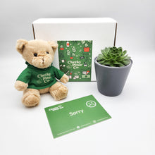 Load image into Gallery viewer, Teddy Bear & Succulent Gift Box
