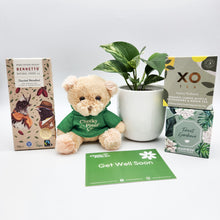 Load image into Gallery viewer, Get Well Soon - Assorted Plant Gift Hamper - Sydney Only