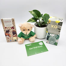 Load image into Gallery viewer, Get Well Soon - Assorted Plant Gift Hamper - Sydney Only