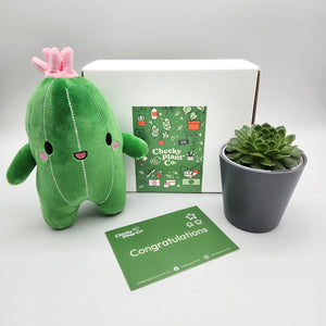Cactus Plushie & Succulent Gift Box
