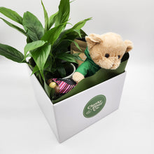 Load image into Gallery viewer, Thinking of You Gift Hamper - Better than Flowers - Sydney Only