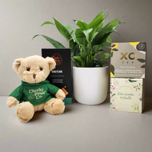 Load image into Gallery viewer, Bereavement/Sympathy/Remembrance - Plant Gift Hamper - Sydney Only
