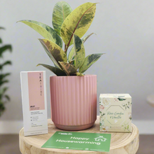 Load image into Gallery viewer, Pink Housewarming Plant Gift Hamper - Sydney Only