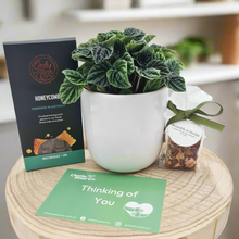 Load image into Gallery viewer, Comforting Condolence - Plant Gift Hamper - Sydney Only