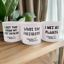 Load image into Gallery viewer, Trio Pack - Funny - Cheeky Plant Co. Pots - 12.5cmD x 12cmH