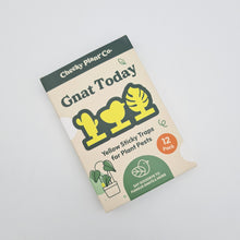 Load image into Gallery viewer, Gnat Today - Fungus Gnat Traps (Pack of 12) - Cheeky Plant Co.