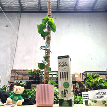 Load image into Gallery viewer, Coco Coir Totem Plant Poles (Pack of 4) - Cheeky Plant Co.