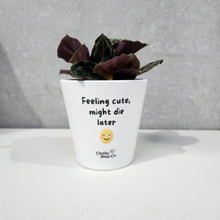 Load image into Gallery viewer, Feeling Cute Might Die Later - Cheeky Plant Co. Pot - 13.5cmD x 11.5cmH