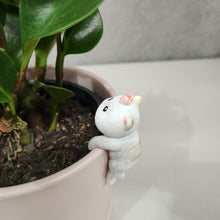 Load image into Gallery viewer, White Cat Pot Hanger 3cm