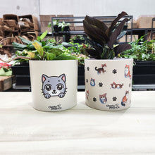 Load image into Gallery viewer, Grey Cat - Cheeky Plant Co. Pot -12.5cmD x 12cmH