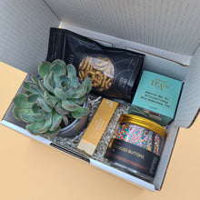 Load image into Gallery viewer, Congratulations - Succulent Gift Box