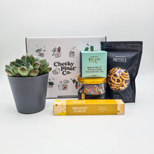 Load image into Gallery viewer, Congratulations - Succulent Gift Box