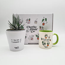 Load image into Gallery viewer, Positive Motivation - Succulent Gift Box