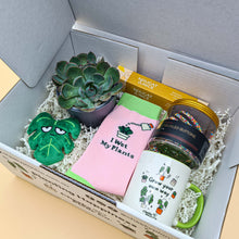 Load image into Gallery viewer, Planty of Love - Succulent Gift Box