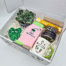 Load image into Gallery viewer, Planty of Love - Succulent Gift Box