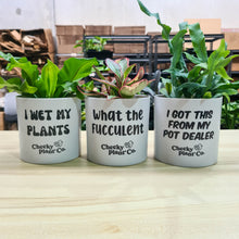 Load image into Gallery viewer, Trio Pack - Funny - Cheeky Plant Co. Pots - 12.5cmD x 12cmH