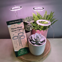 Load image into Gallery viewer, Three Rings Grow Lights - Pink White - Cheeky Plant Co.