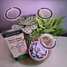 Load image into Gallery viewer, Three Rings Grow Lights - Pink White - Cheeky Plant Co.