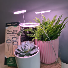 Load image into Gallery viewer, Three Rings Grow Lights - Pink White - Cheeky Plant Co.