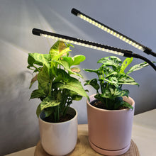 Load image into Gallery viewer, 2 Headed LED Indoor Plant Grow Lights - White - Cheeky Plant Co.