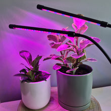 Load image into Gallery viewer, 2 Headed LED Indoor Plant Grow Lights - Red/Blue - Cheeky Plant Co.