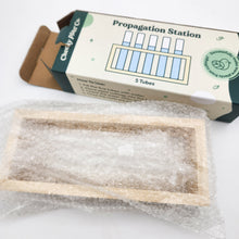 Load image into Gallery viewer, Propagation Station - 5 Tubes - Cheeky Plant Co.