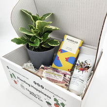 Load image into Gallery viewer, Pamper Plant Gift Box